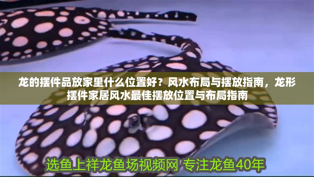 龍的擺件品放家里什么位置好？風水布局與擺放指南，龍形擺件家居風水最佳擺放位置與布局指南