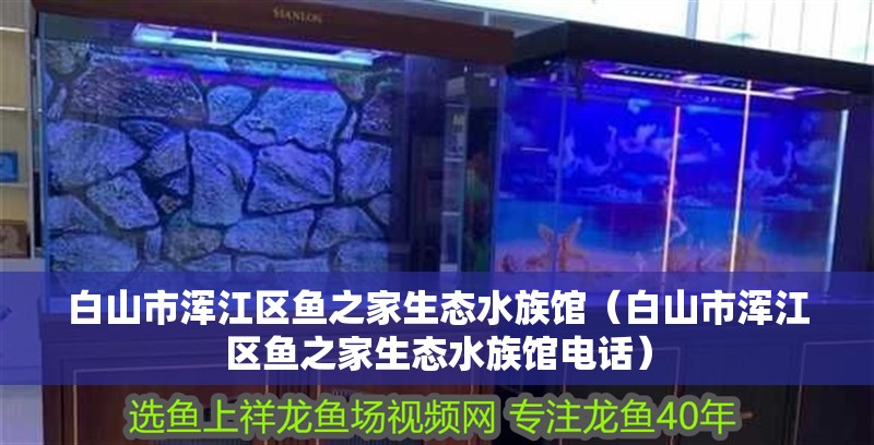 白山市渾江區(qū)魚之家生態(tài)水族館（白山市渾江區(qū)魚之家生態(tài)水族館電話）