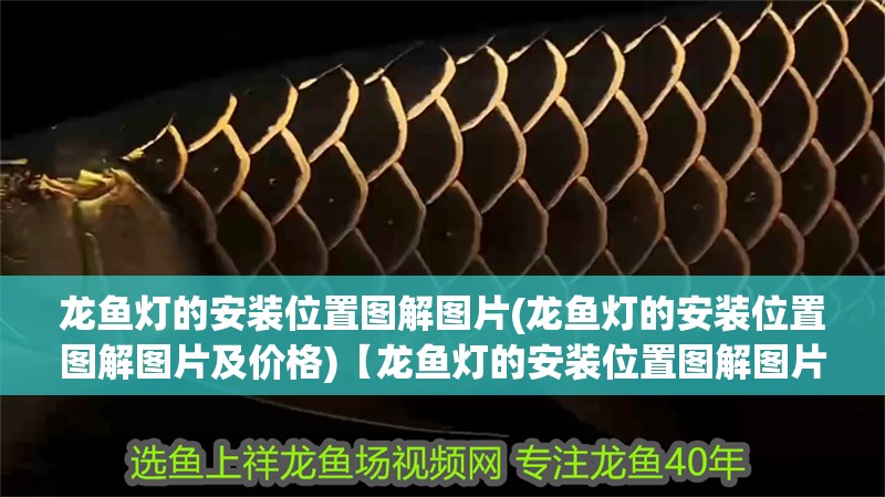 龍魚燈的安裝位置圖解圖片(龍魚燈的安裝位置圖解圖片及價格)【龍魚燈的安裝位置圖解圖片】