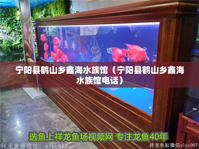寧陽縣鶴山鄉鑫海水族館（寧陽縣鶴山鄉鑫海水族館電話）