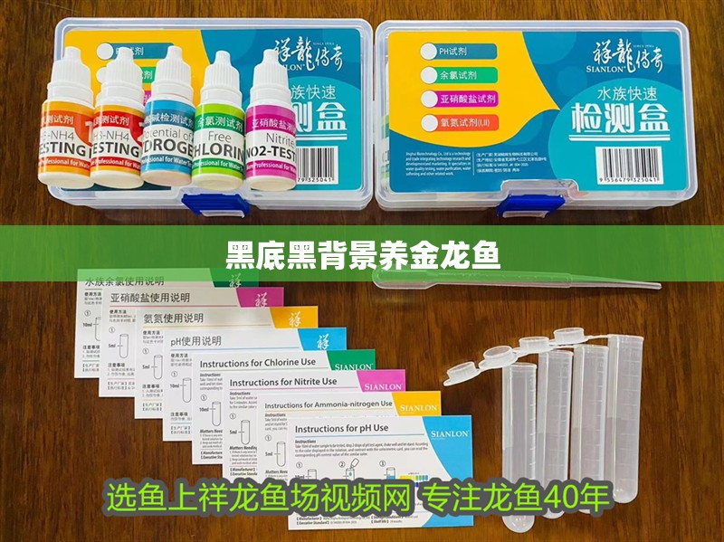 黑底黑背景養(yǎng)金龍魚