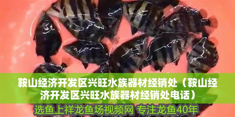 鞍山經濟開發區興旺水族器材經銷處（鞍山經濟開發區興旺水族器材經銷處電話）