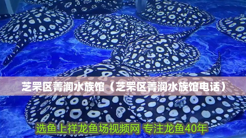 芝罘區(qū)菁潤水族館（芝罘區(qū)菁潤水族館電話）