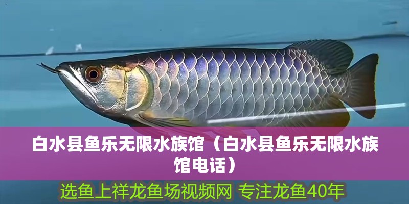白水縣魚樂無限水族館（白水縣魚樂無限水族館電話）