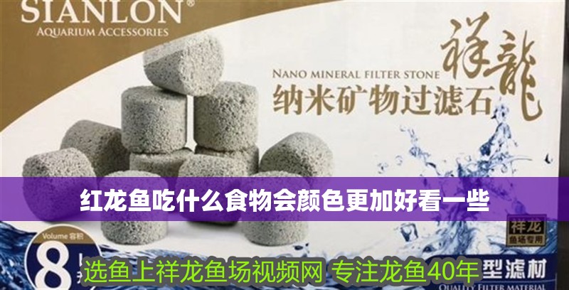 紅龍魚吃什么食物會(huì)顏色更加好看一些