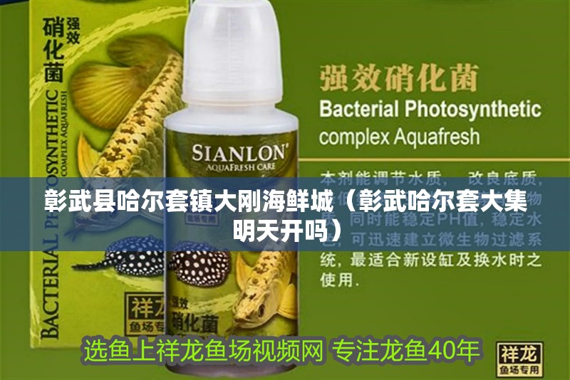 彰武縣哈爾套鎮大剛海鮮城（彰武哈爾套大集明天開嗎）