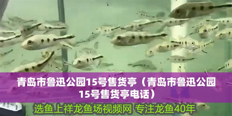 青島市魯迅公園15號售貨亭（青島市魯迅公園15號售貨亭電話）