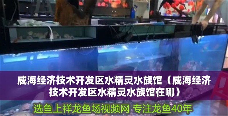 威海經濟技術開發區水精靈水族館（威海經濟技術開發區水精靈水族館在哪）