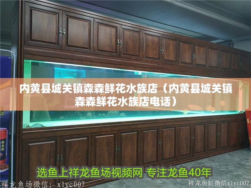 內黃縣城關鎮森森鮮花水族店（內黃縣城關鎮森森鮮花水族店電話）