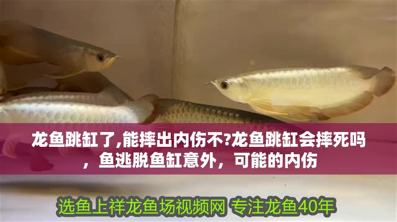 威海經(jīng)濟技術(shù)開發(fā)區(qū)新都老兵水族館（威海老兵海洋溫泉電話）
