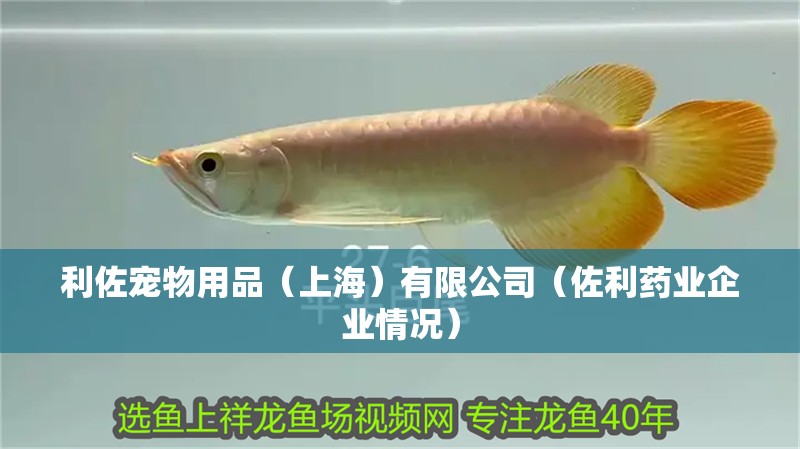 利佐寵物用品（上海）有限公司（佐利藥業企業情況）