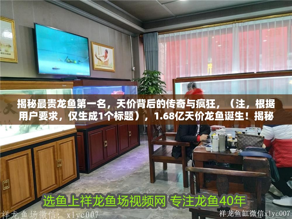 揭秘最貴龍魚第一名，天價背后的傳奇與瘋狂，（注，根據(jù)用戶要求，僅生成1個標題），1.68億天價龍魚誕生！揭秘水中活寶石煉成記