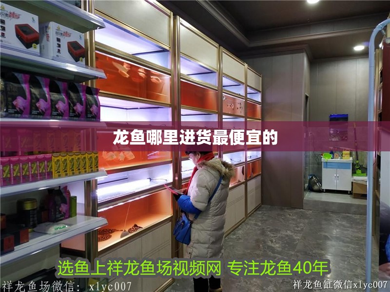 龍魚哪里進貨最便宜的