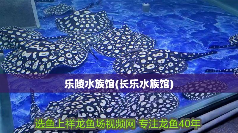 樂陵水族館(長樂水族館) 樂陵水族館(長樂水族館) 元寶鳳凰魚百科 第1張
