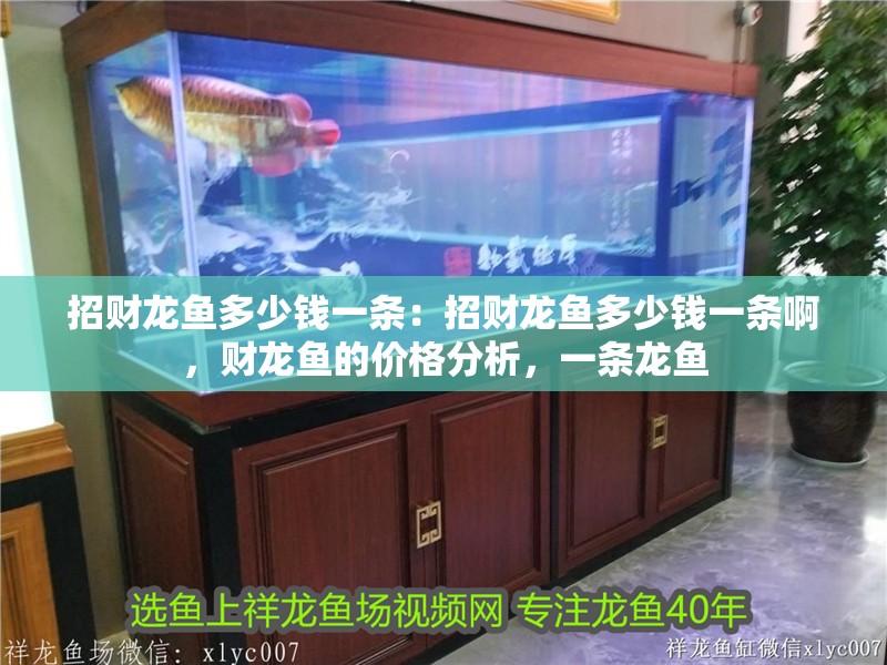 招財龍魚多少錢一條：招財龍魚多少錢一條啊，財龍魚的價格分析，一條龍魚