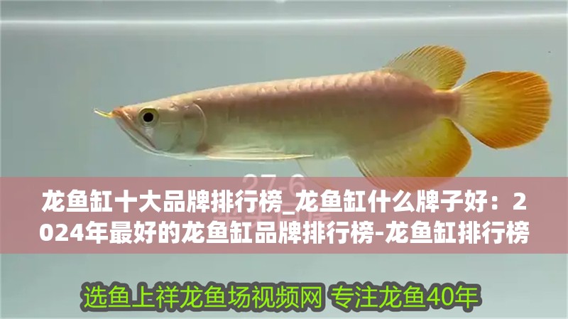 龍魚缸十大品牌排行榜_龍魚缸什么牌子好：2024年最好的龍魚缸品牌排行榜-龍魚缸排行榜