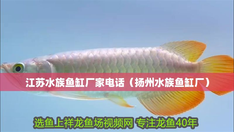 江蘇水族魚缸廠家電話（揚州水族魚缸廠）