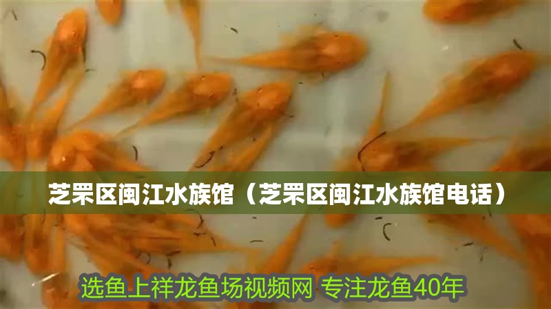 芝罘區(qū)閩江水族館（芝罘區(qū)閩江水族館電話）