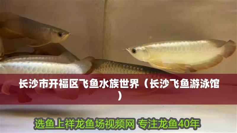長沙市開福區飛魚水族世界（長沙飛魚游泳館）