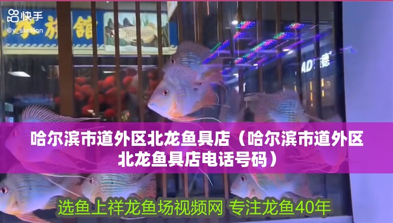 哈爾濱市道外區北龍魚具店（哈爾濱市道外區北龍魚具店電話號碼）
