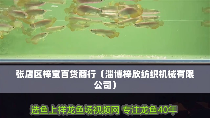 張店區梓寶百貨商行（淄博梓欣紡織機械有限公司）