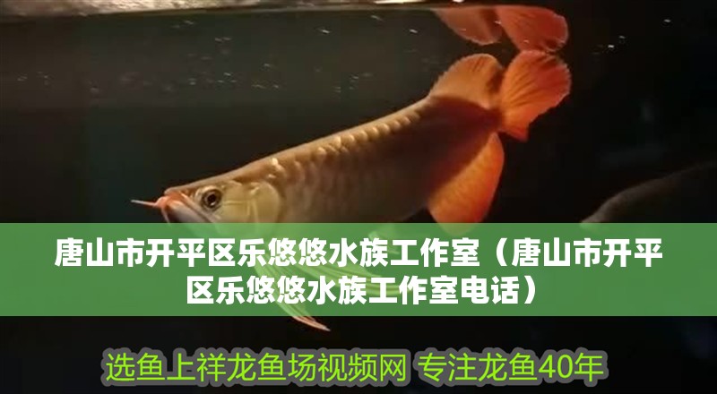 唐山市開平區(qū)樂悠悠水族工作室（唐山市開平區(qū)樂悠悠水族工作室電話）