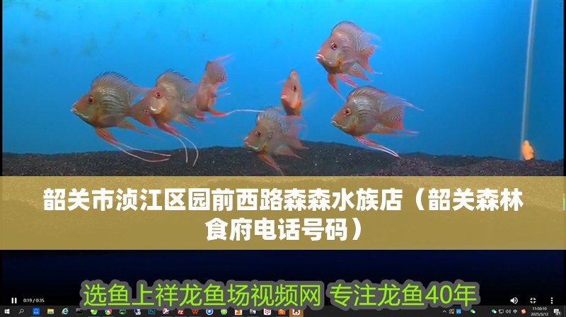韶關市湞江區園前西路森森水族店（韶關森林食府電話號碼）