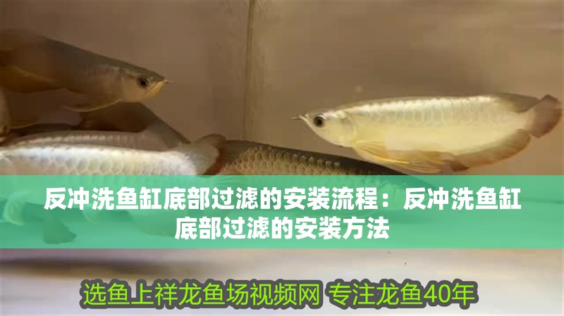 反沖洗魚缸底部過濾的安裝流程：反沖洗魚缸底部過濾的安裝方法