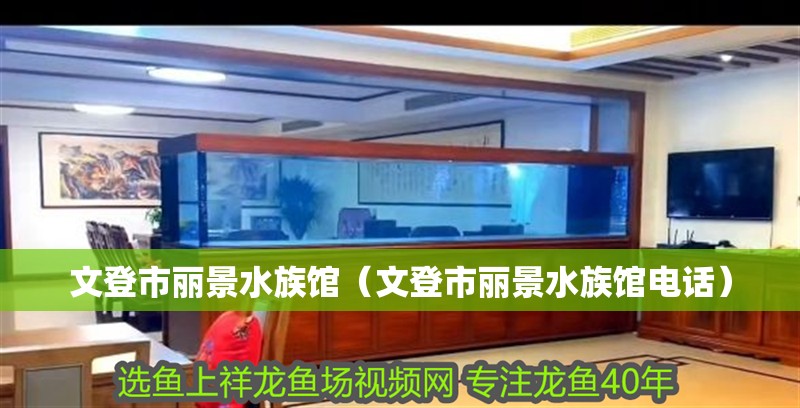 文登市麗景水族館（文登市麗景水族館電話） 文登市麗景水族館（文登市麗景水族館電話） 全國水族館企業(yè)名錄 第2張