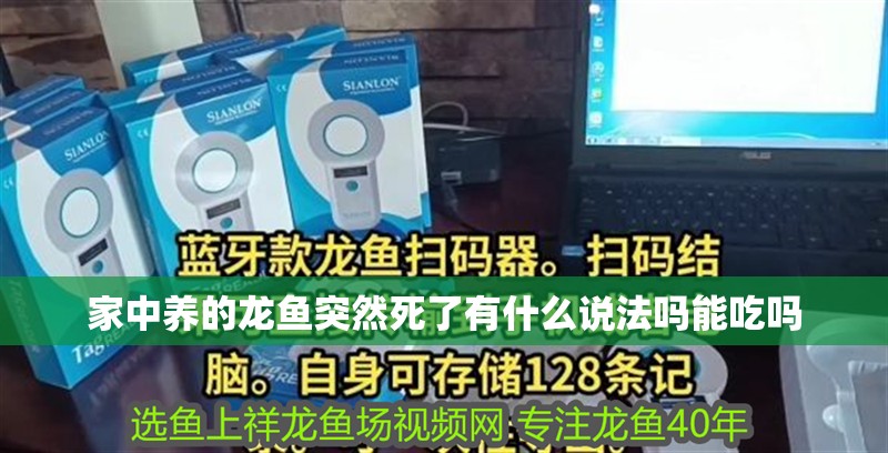 家中養(yǎng)的龍魚突然死了有什么說法嗎能吃嗎 龍魚百科 第2張 家中養(yǎng)的龍魚突然死了有什么說法嗎能吃嗎 家中養(yǎng)的龍魚突然死了有什么說法嗎能吃嗎 龍魚百科 第2張