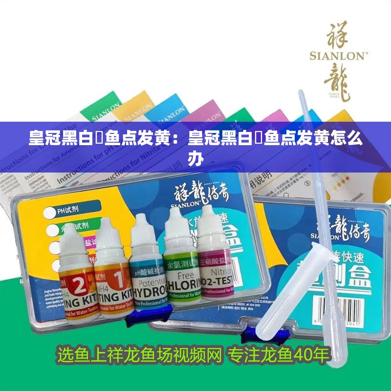 皇冠黑白魟魚點發黃:皇冠黑白魟魚點發黃怎么辦 魟魚百科 第2張 皇冠黑白魟魚點發黃:皇冠黑白魟魚點發黃怎么辦 皇冠黑白魟魚點發黃:皇冠黑白魟魚點發黃怎么辦 魟魚百科 第2張