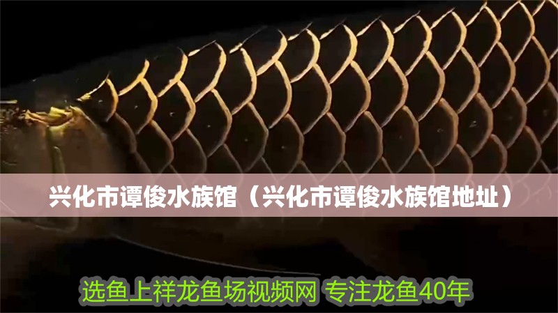 興化市譚俊水族館（興化市譚俊水族館地址）