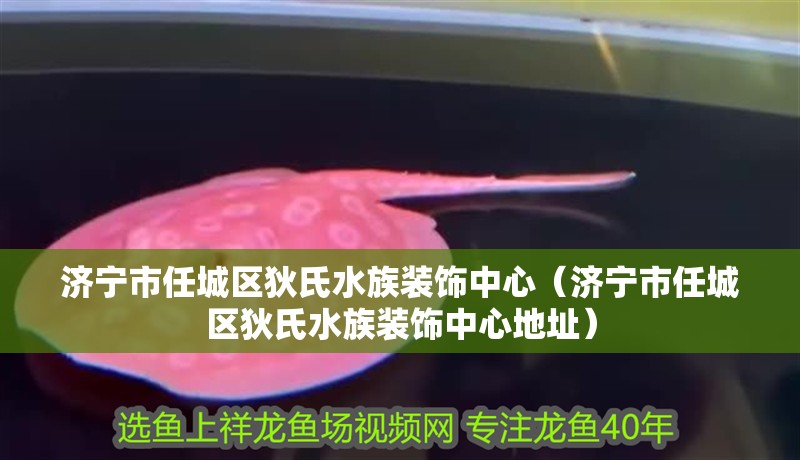 濟(jì)寧市任城區(qū)狄氏水族裝飾中心（濟(jì)寧市任城區(qū)狄氏水族裝飾中心地址）