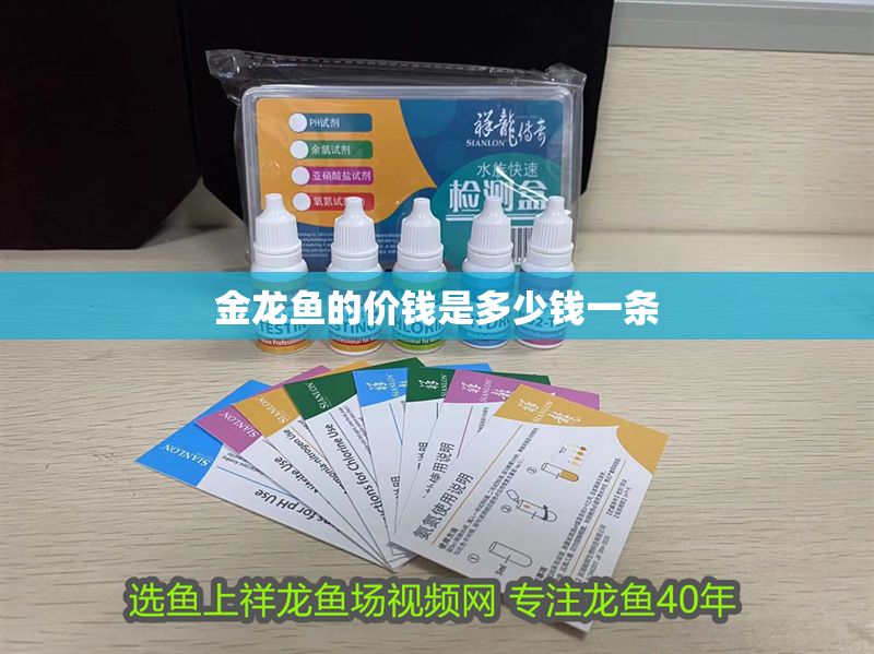 金龍魚的價錢是多少錢一條