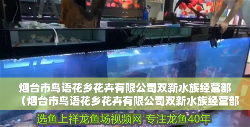 煙臺(tái)市鳥語花鄉(xiāng)花卉有限公司雙新水族經(jīng)營部（煙臺(tái)市鳥語花鄉(xiāng)花卉有限公司雙新水族經(jīng)營部電話）