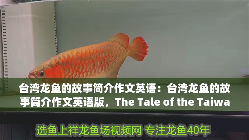臺灣龍魚的故事簡介作文英語：臺灣龍魚的故事簡介作文英語版，The Tale of the Taiwanese Dragonfish: An English Summary