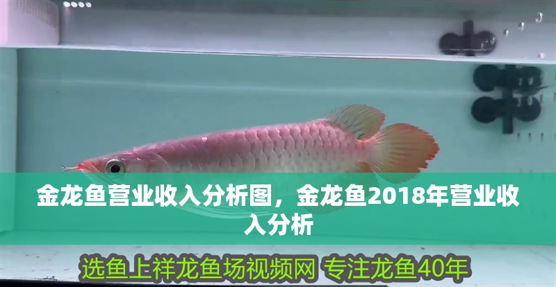 金龍魚營業收入分析圖，金龍魚2018年營業收入分析