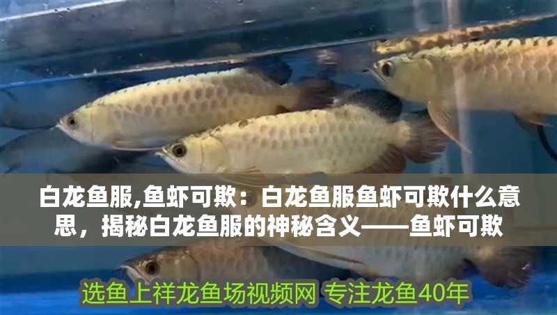 白龍魚服,魚蝦可欺：白龍魚服魚蝦可欺什么意思，揭秘白龍魚服的神秘含義——魚蝦可欺