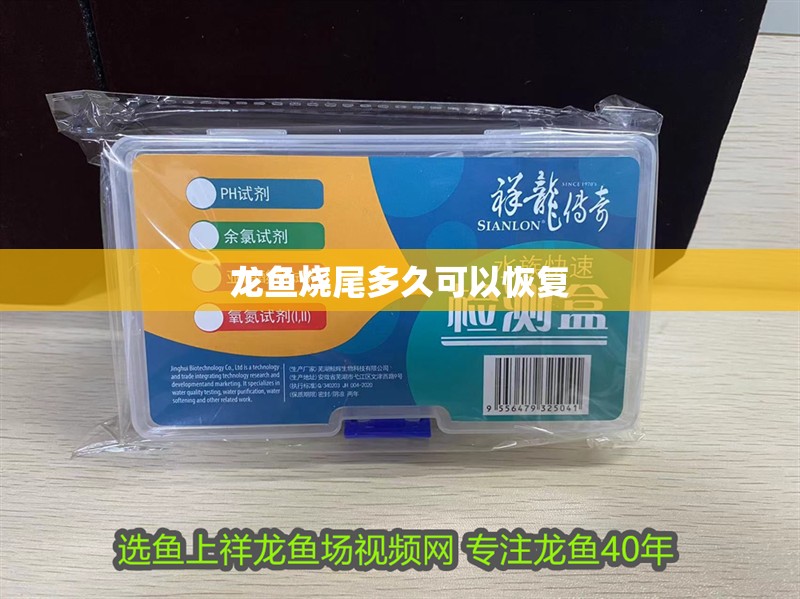 龍魚燒尾多久可以恢復