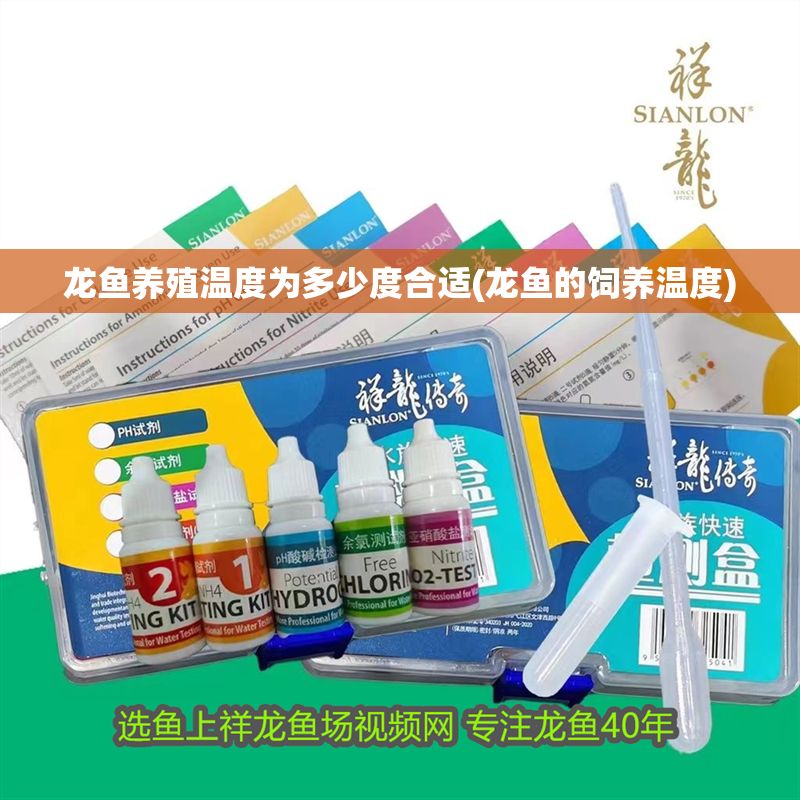 龍魚養殖溫度為多少度合適(龍魚的飼養溫度) 黃金貓魚百科 第1張 龍魚養殖溫度為多少度合適(龍魚的飼養溫度) 龍魚養殖溫度為多少度合適(龍魚的飼養溫度) 黃金貓魚百科 第1張