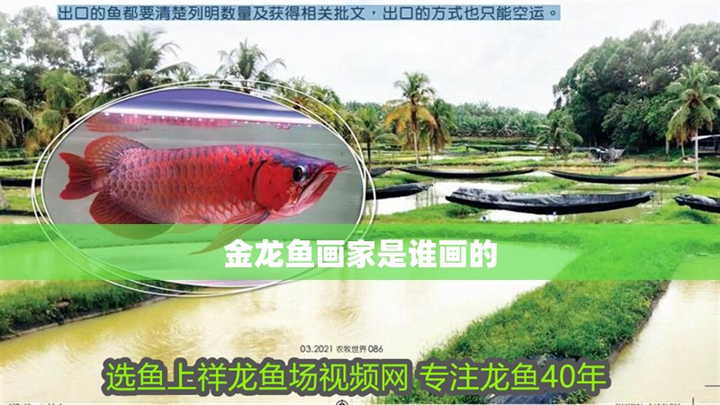 金龍魚畫家是誰畫的