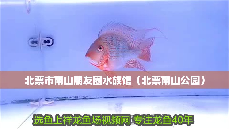 北票市南山朋友圈水族館（北票南山公園）