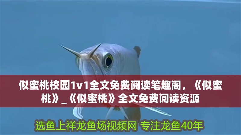 似蜜桃校園1v1全文免費閱讀筆趣閣，《似蜜桃》_《似蜜桃》全文免費閱讀資源