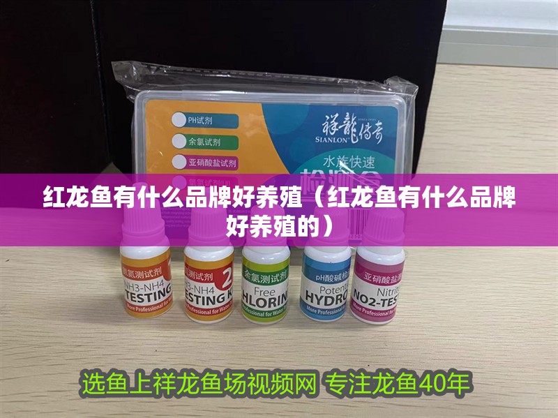 紅龍魚有什么品牌好養(yǎng)殖（紅龍魚有什么品牌好養(yǎng)殖的）