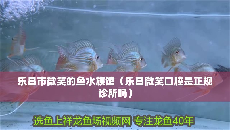 樂昌市微笑的魚水族館（樂昌微笑口腔是正規診所嗎）