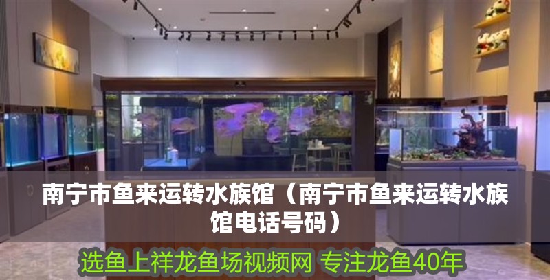 南寧市魚來運轉水族館（南寧市魚來運轉水族館電話號碼）