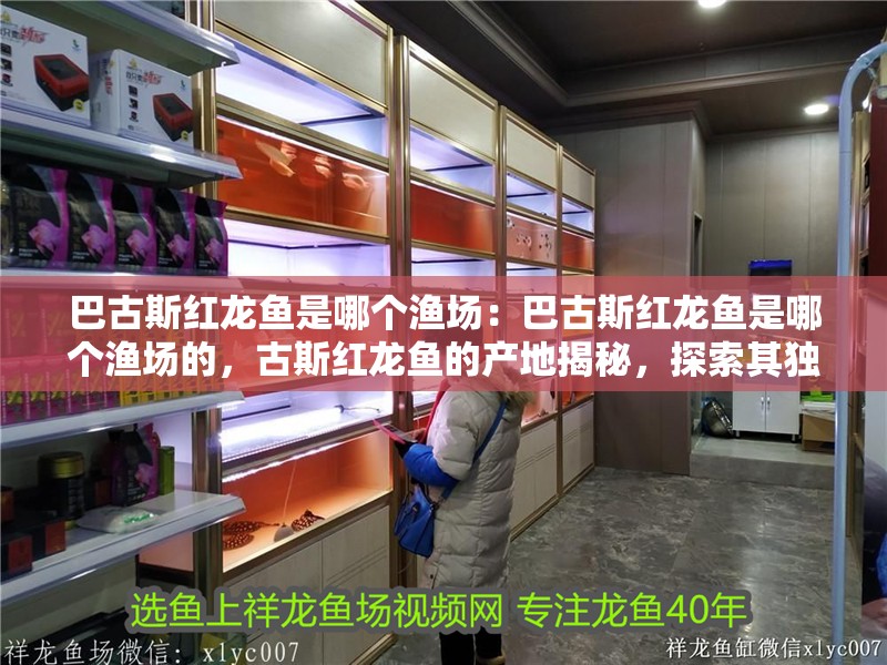 巴古斯紅龍魚是哪個漁場：巴古斯紅龍魚是哪個漁場的，古斯紅龍魚的產地揭秘，探索其獨特的漁場