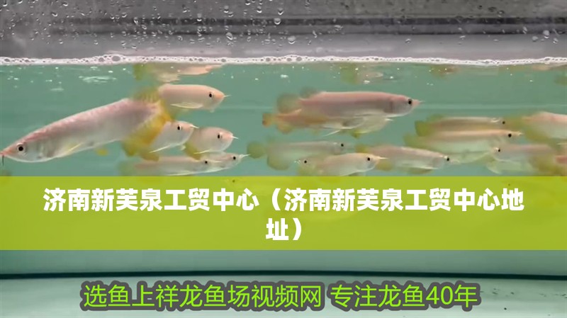 濟南新芙泉工貿中心（濟南新芙泉工貿中心地址）