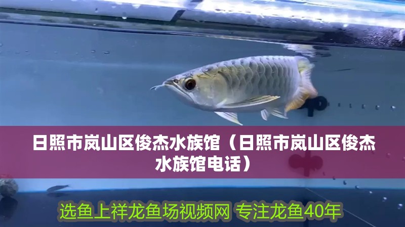 日照市嵐山區俊杰水族館（日照市嵐山區俊杰水族館電話）