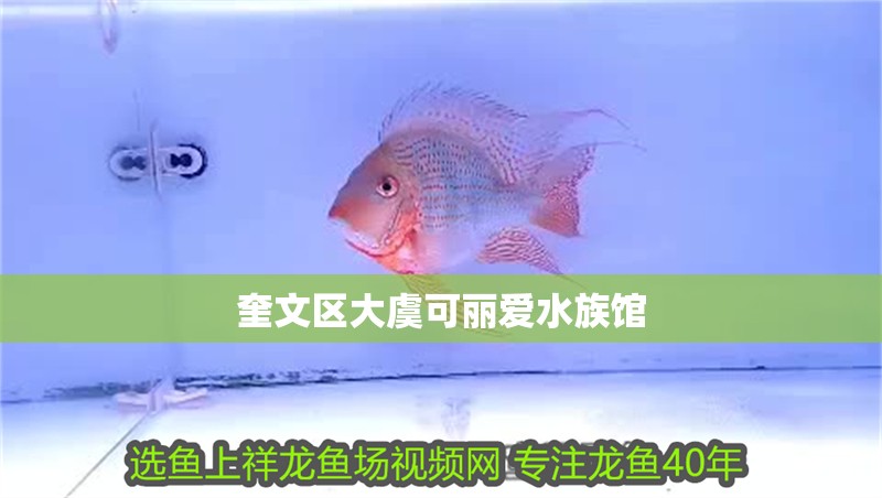 奎文區大虞可麗愛水族館